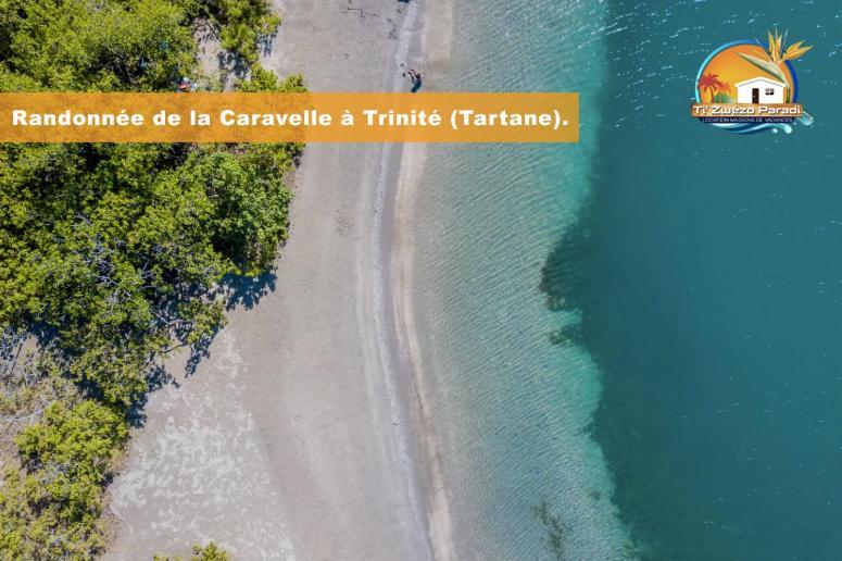F3 Hibiscus - Piscine Chauffee - Vue Mer - 9 Min De La Plage - Ti Zwezo Paradi Trinité  Extérieur photo