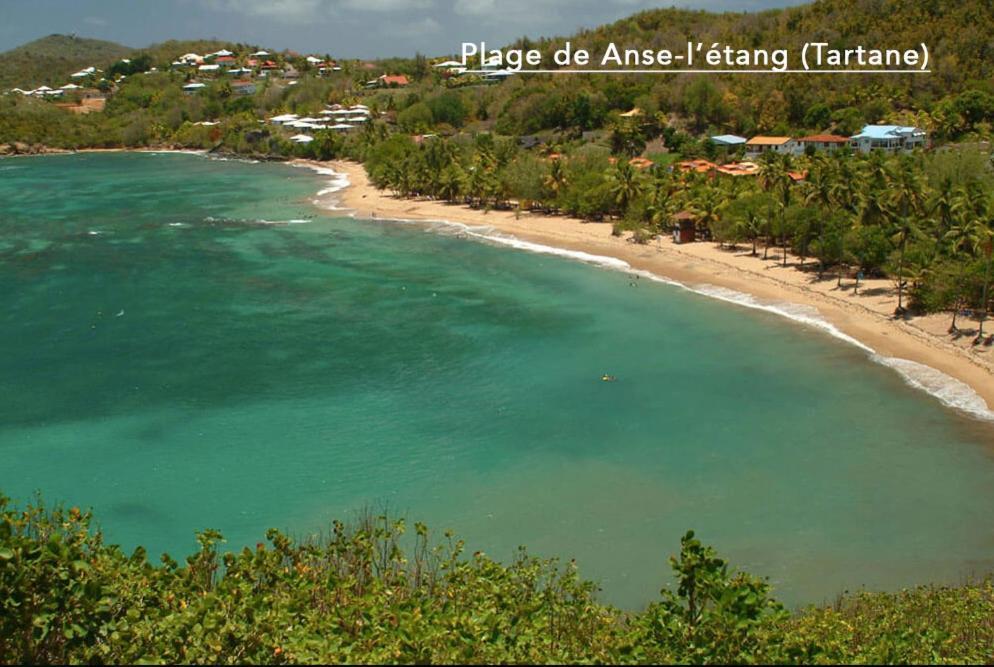 F3 Hibiscus - Piscine Chauffee - Vue Mer - 9 Min De La Plage - Ti Zwezo Paradi Trinité  Extérieur photo
