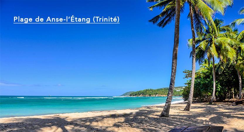 F3 Hibiscus - Piscine Chauffee - Vue Mer - 9 Min De La Plage - Ti Zwezo Paradi Trinité  Extérieur photo
