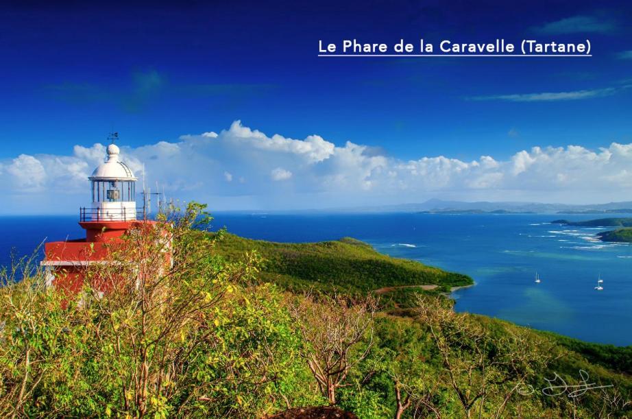 F3 Hibiscus - Piscine Chauffee - Vue Mer - 9 Min De La Plage - Ti Zwezo Paradi Trinité  Extérieur photo
