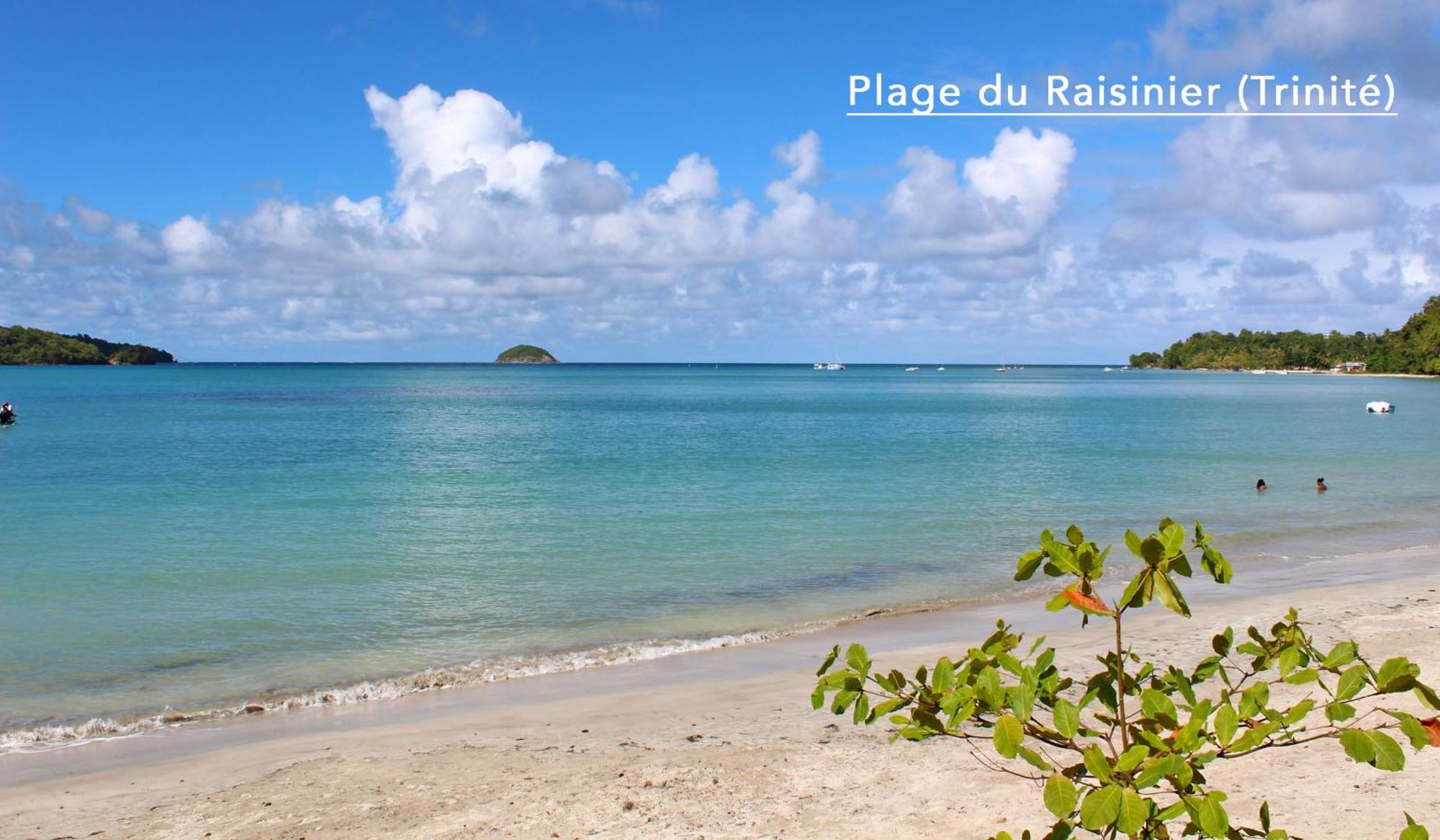 F3 Hibiscus - Piscine Chauffee - Vue Mer - 9 Min De La Plage - Ti Zwezo Paradi Trinité  Extérieur photo